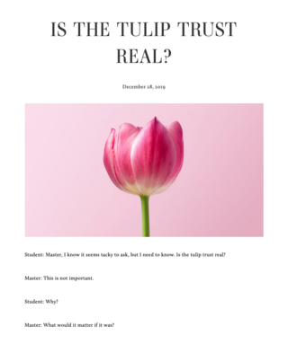 <p><a href="https://personacryptona.com/essays/is-the-tulip-trust-real" target="_blank">Read on</a></p>
<p>Source:&nbsp;<a href="https://personacryptona.com/essays/is-the-tulip-trust-real" target="_blank">personacryptona.com</a></p>